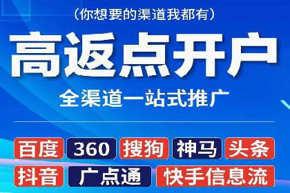 百度竞价排名机制：成功案例与策略探讨